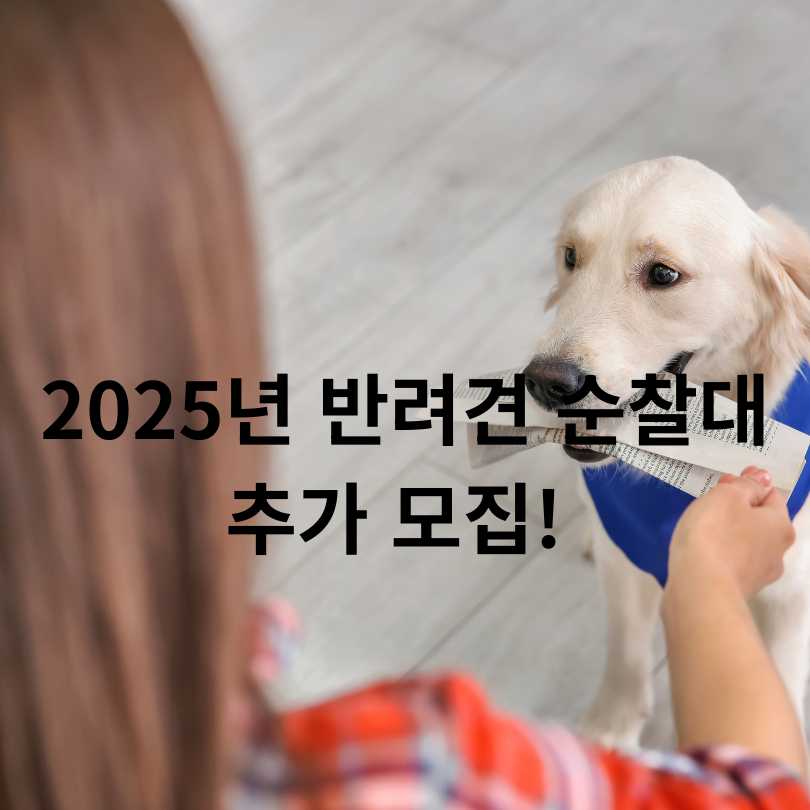 2025년 반려견 순찰대 추가 모집!