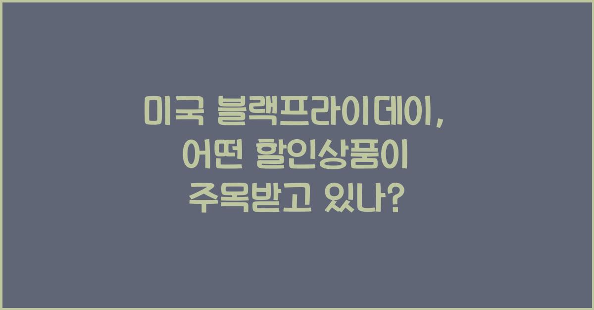 미국 블랙프라이데이