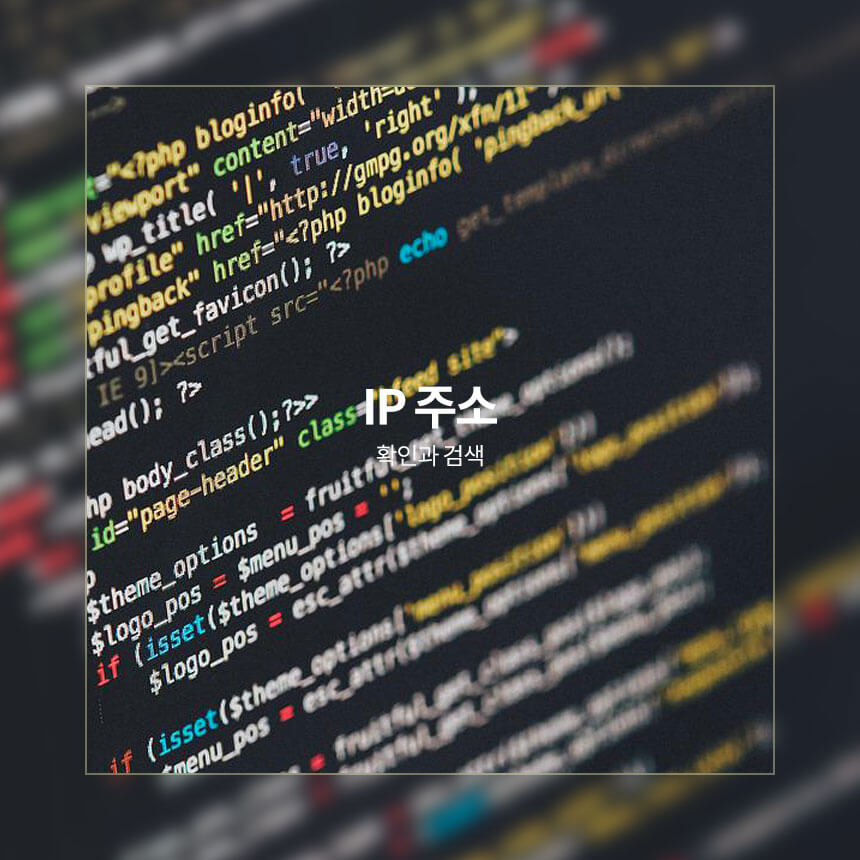 ip 주소 확인, 검색