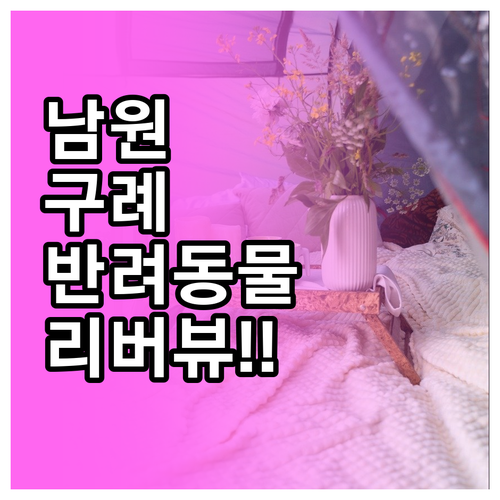 반려동물 동반 가능한 남원 숙소부터 ..