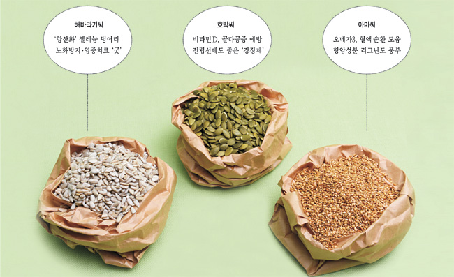 마그네슘이 풍부한 음식