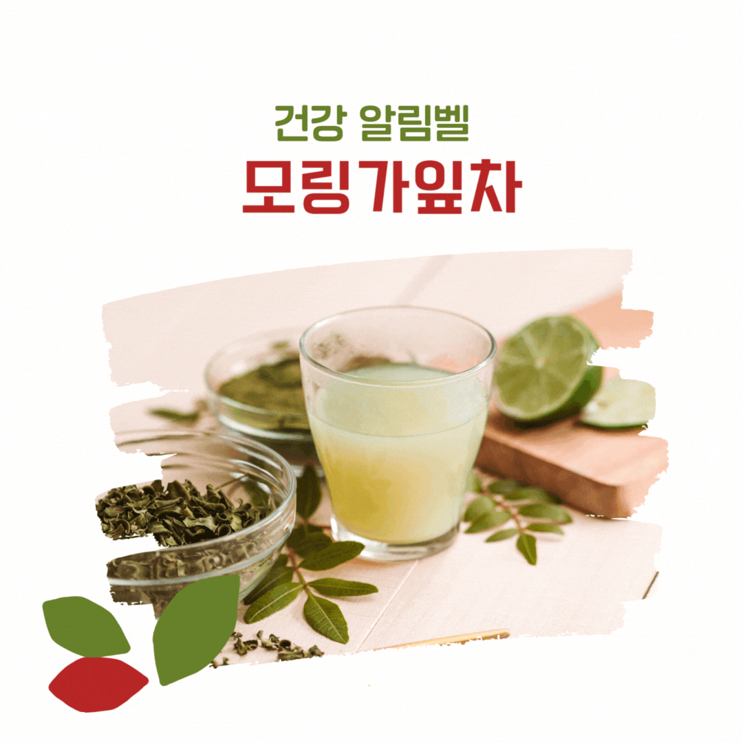 모링가잎차