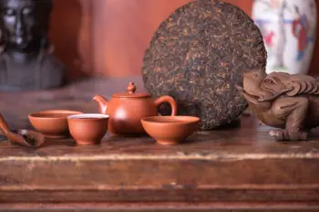 보이차 효능 및 영양성분