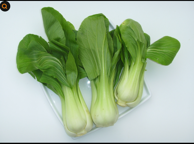 청경채 녹즙 체질에 상관없이 우리 몸에 정말 좋을까?