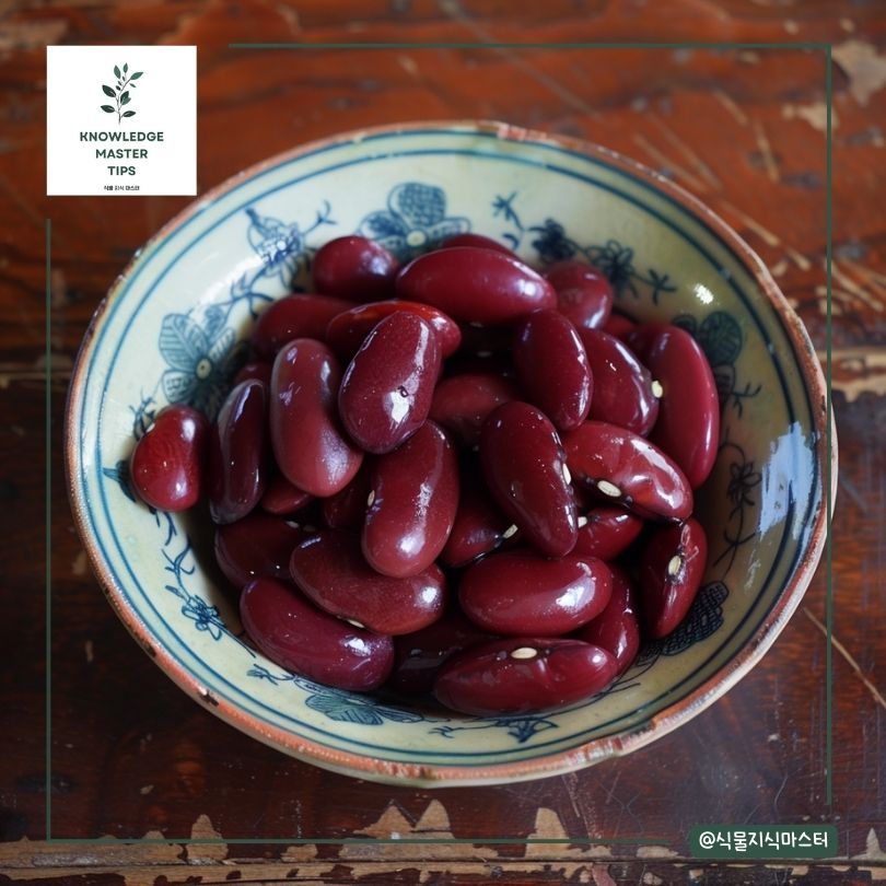 강낭콩 키우기 마무리