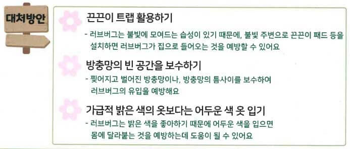 러브버그-퇴치방법-대처-방안