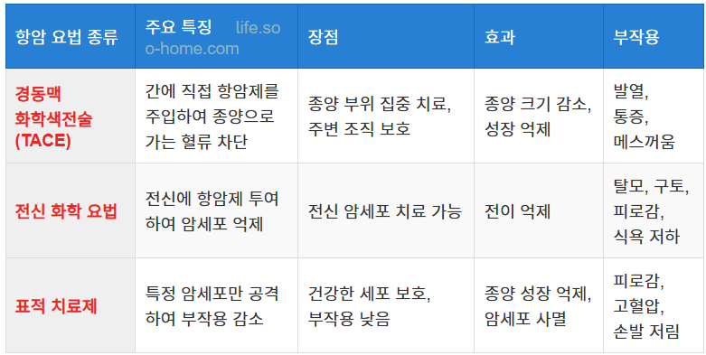 항암 요법의 종류와 효과