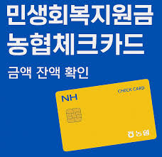 민생소비쿠폰농협체크카드4