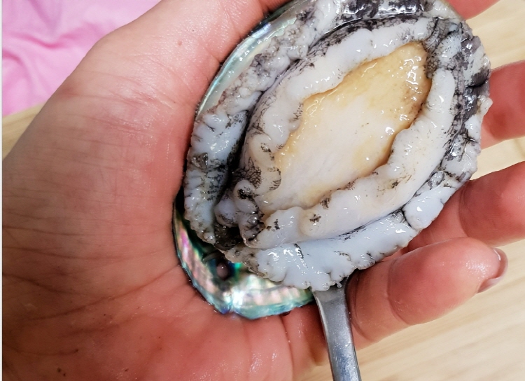 전복 손질법
