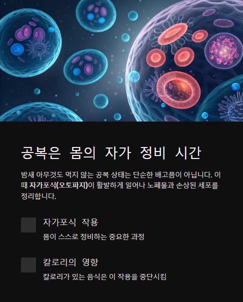 공복은 몸의 자가 정비 시간