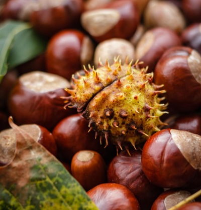 가을철 야식, 혈당 급상승을 부르는 음식 3가지