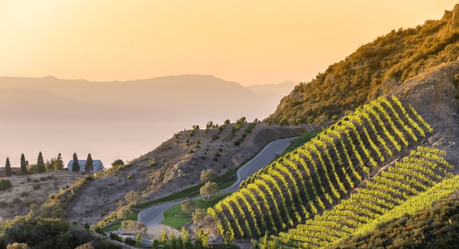 말리부 와인 컨트리의 숨은 와이너리 탐방