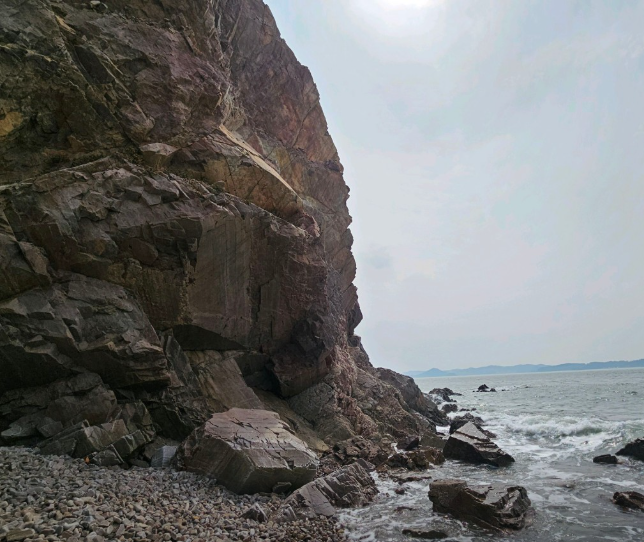 생생정보 믿고 떠나는 스타의 고장 충청남도 서산시 유기방가옥 황금산 코끼리바위 바다식당 꽃빛 