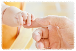 보조금 24 홈페이지