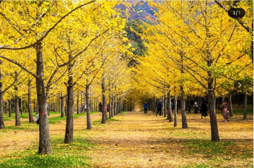 대한민국 구석구석 (가을 여행 할인 혜택)