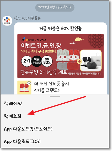 카카오톡 CJ택배 배송조회