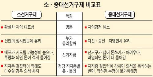 중대선거구제