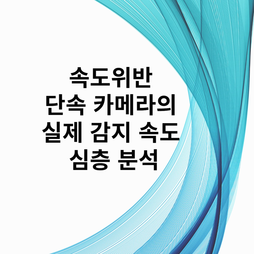 단속 카메라의 실제 감지 속도