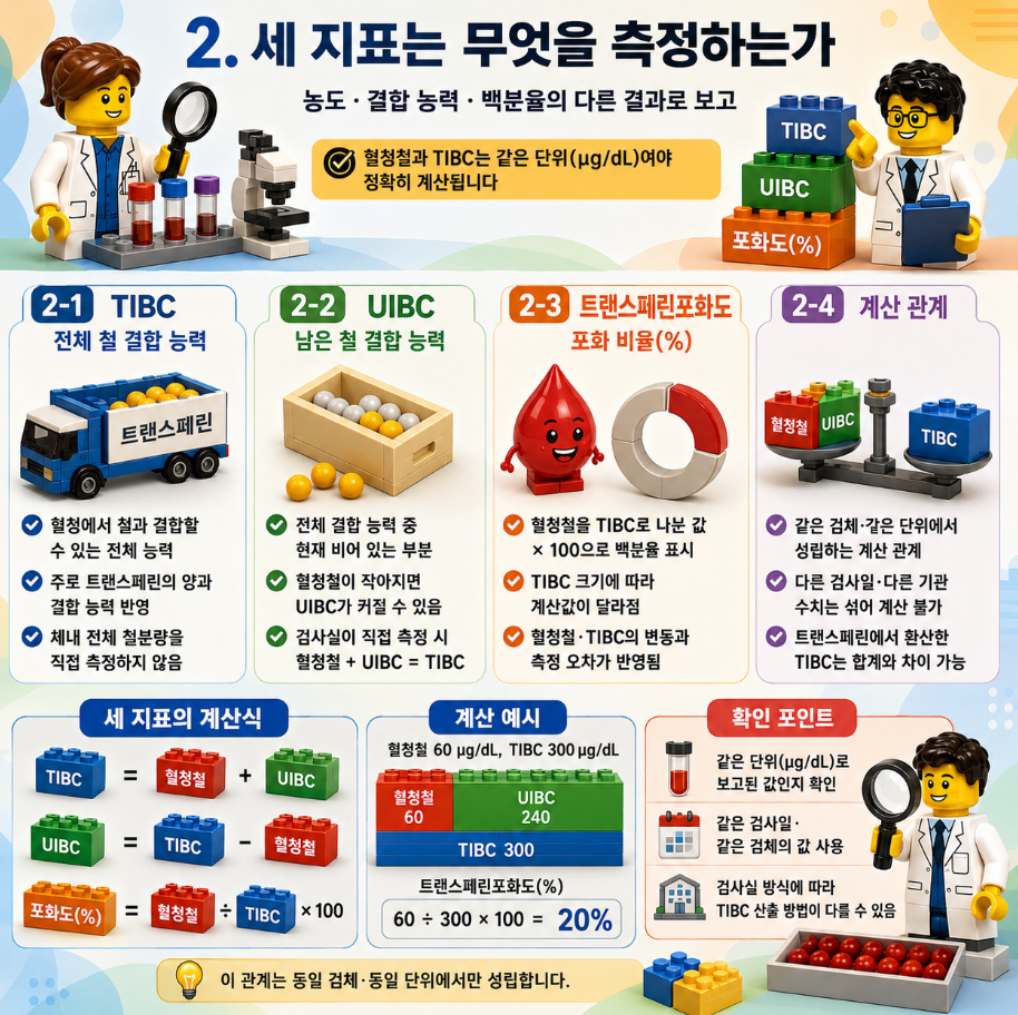 레고 스타일 메디컬 인포그래픽으로 TIBC, UIBC, 트랜스페린포화도 검사를 시행하는 상황과 철 공급 상태, 철 과다 가능성, 반복검사를 설명한 이미지
