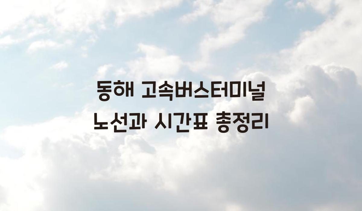 동해 고속버스터미널 노선