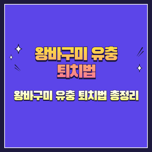 왕바구미 유충 퇴치법 총정리