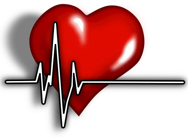 국민건강보험 건강검진 조회 