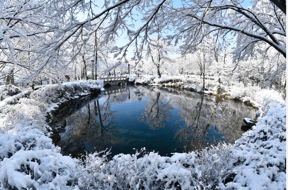 눈쌓인 황지연못