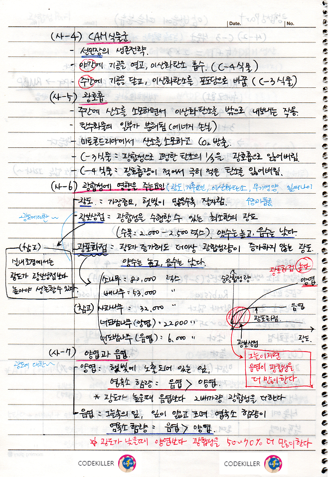 광호흡, 광합성에 영향을 주는 요인