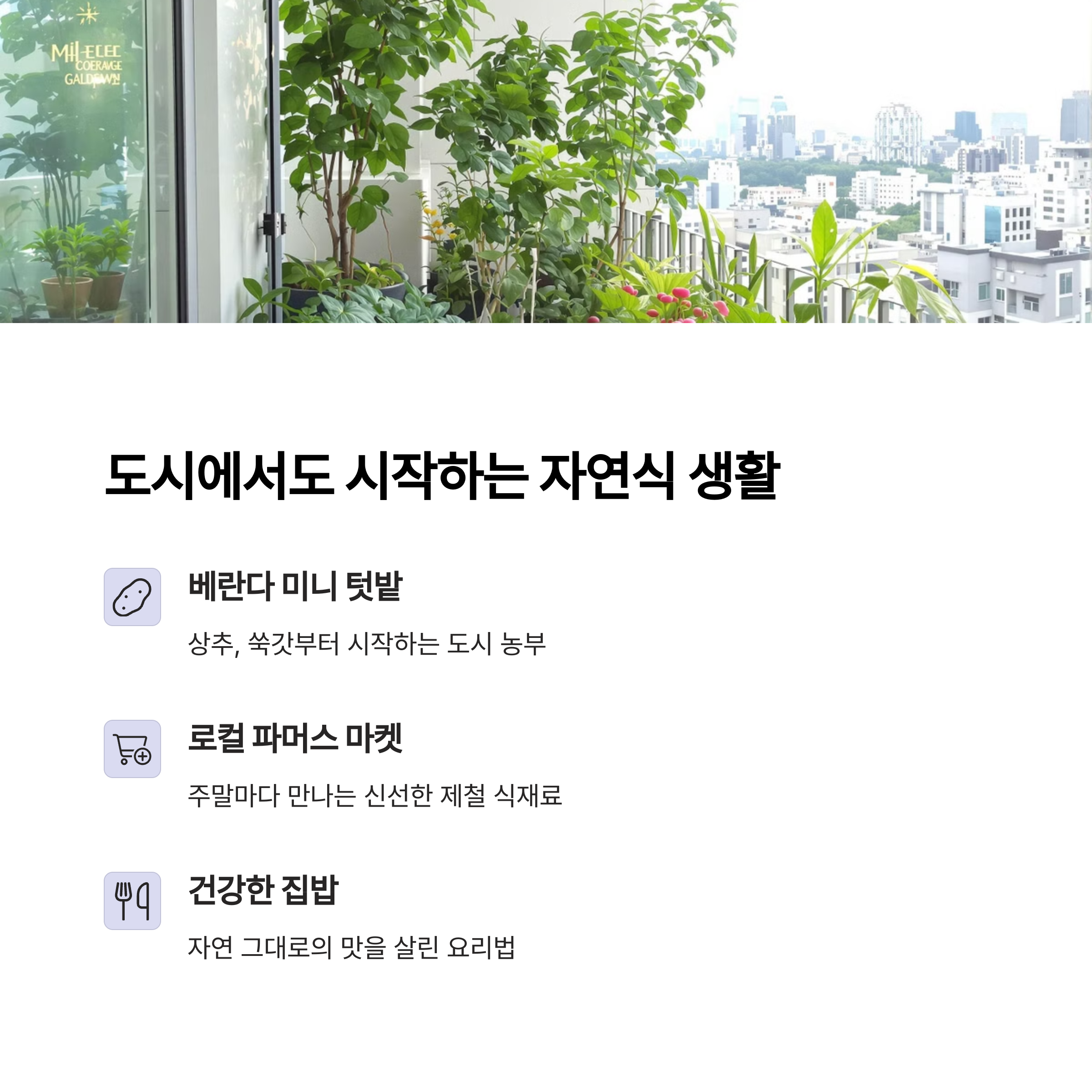 괴산 토박이가 전하는 실버세대 자연식 건강법 - 도시를 떠나 찾은 100세 건강의 비밀