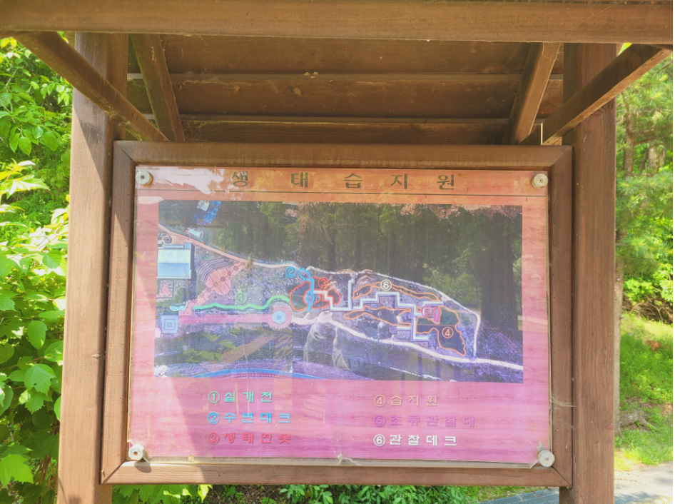 구갈레스피아 생태습지원