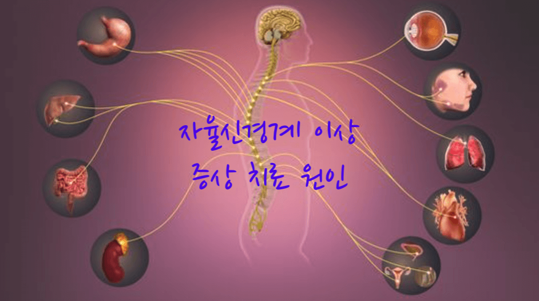 자율 신경계 이상