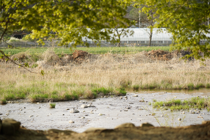 경기-가평-하늘숲글램핑파크-사진-입니다.
