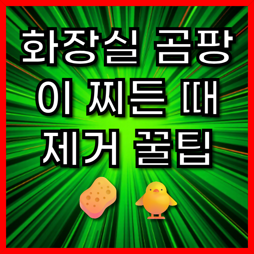 화장실 곰팡이 찌든 때 제거 꿀팁 🧽🐥