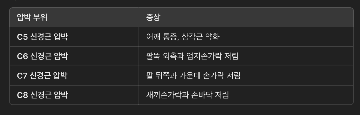 신경 압박 위치에 따른 증상 변화