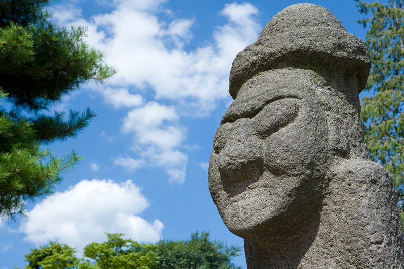 제주도 비행기표 싸게 사는법 총정리 : 땡처리 항공권 &amp; 가격비교 꿀팁 