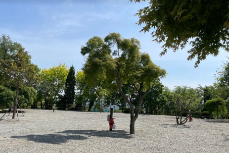 파이브이모션 캠핑장 E존