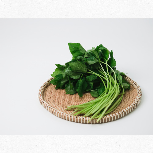 8월 제철나물 참나물 여름 향기 가득