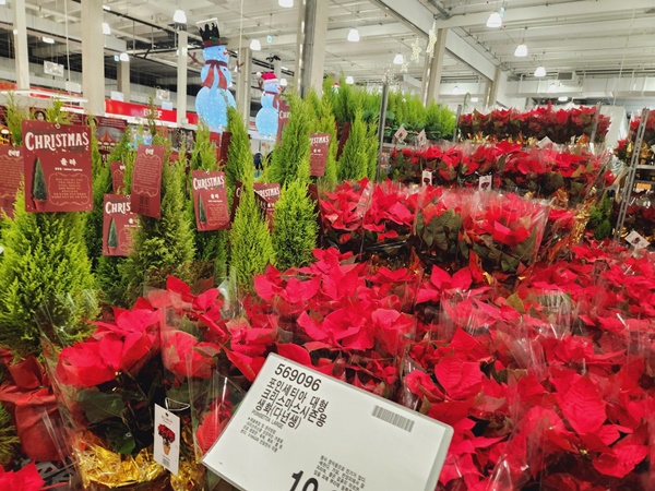 코스트코 송도점 크리스마스 