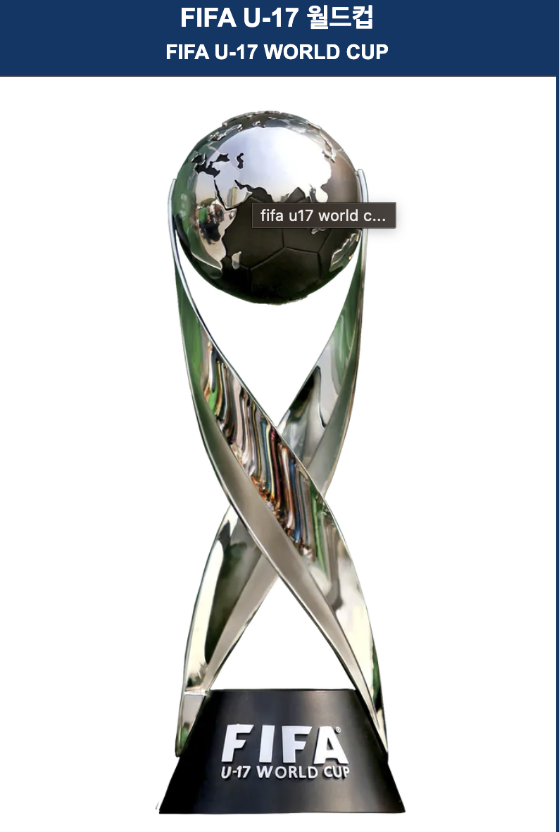2023U-17월드컵일정