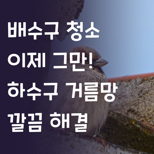 배수구 청소 스트레스 끝 하수구 거름..