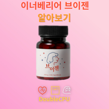 브이젠