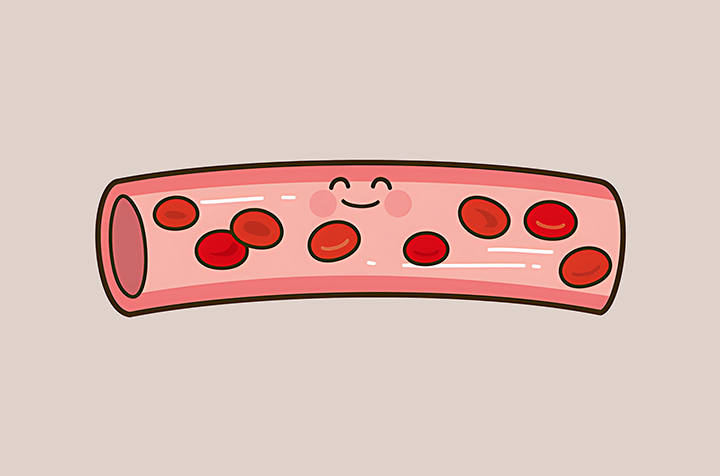 혈압-조절-및-혈액순환-개선