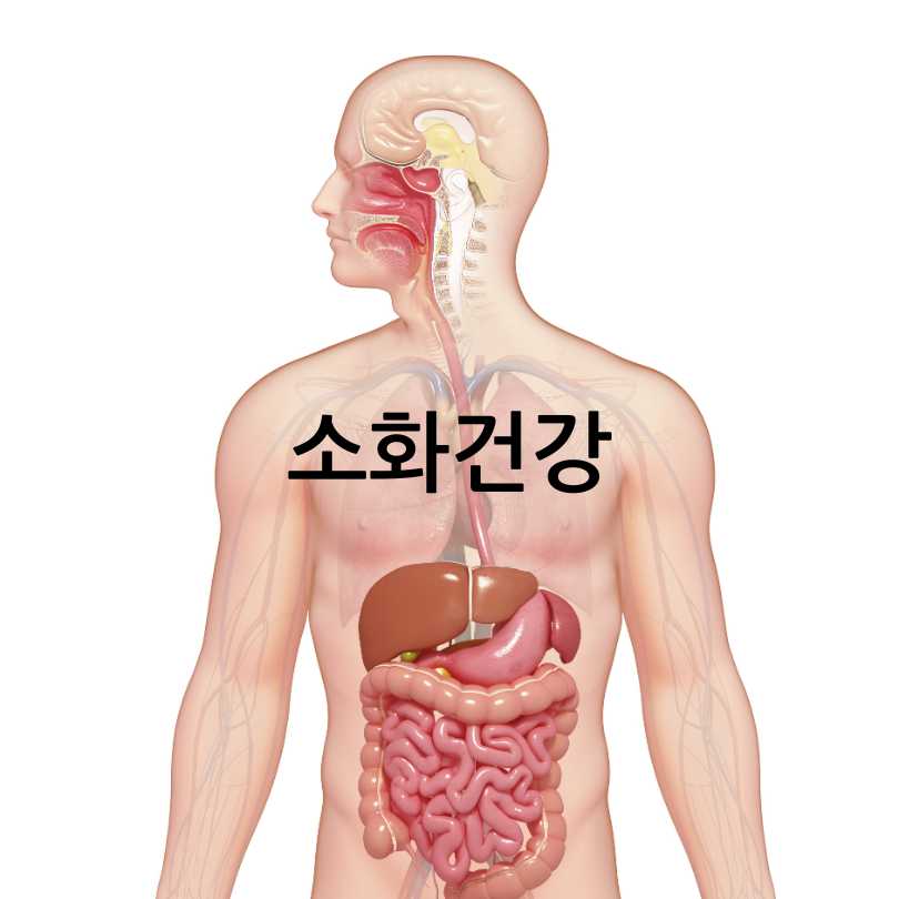 액상마그네슘효과