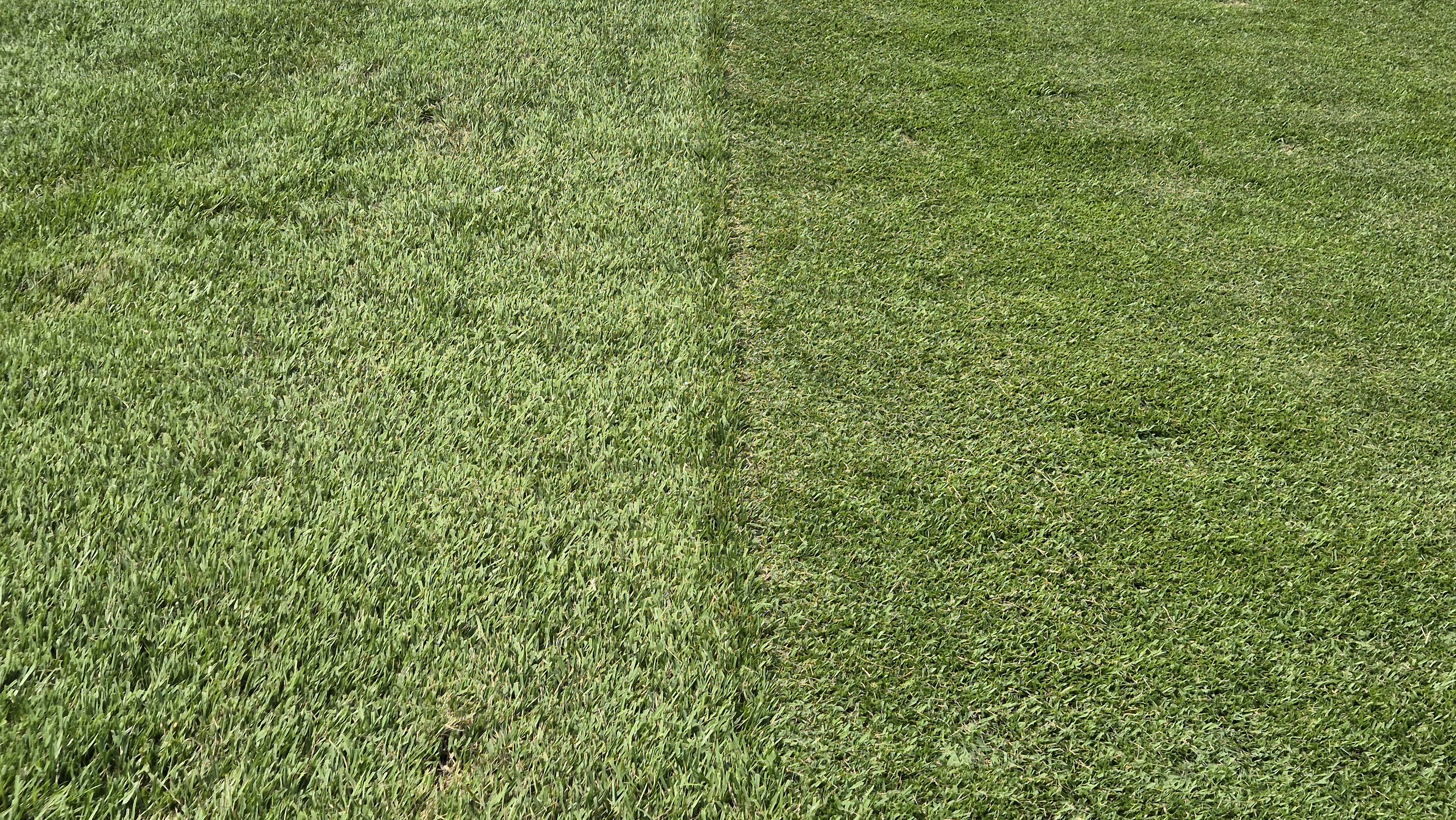 골프존카운티 안성H