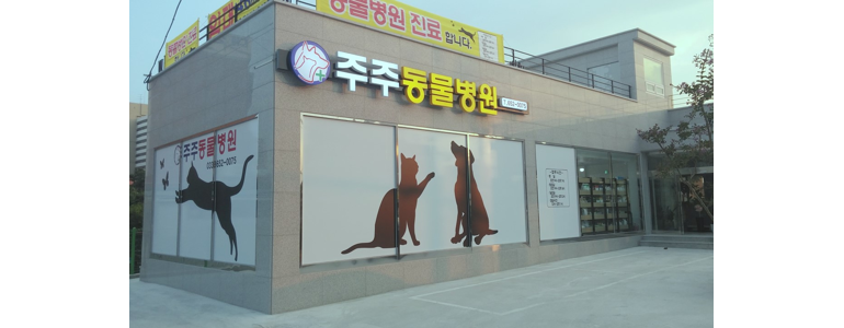 강릉시 동물병원