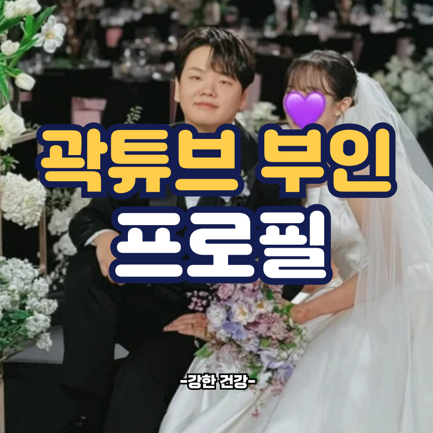 곽튜브 아내