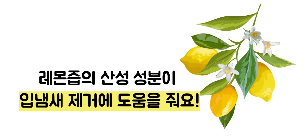 레몬즙 효능