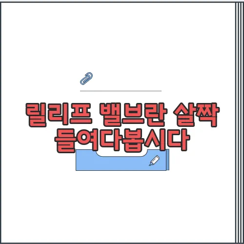 릴리프 밸브란 살짝 들여다봅시다