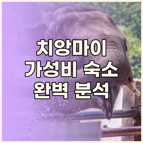 치앙마이 여행객 필독 가성비 숙소 추