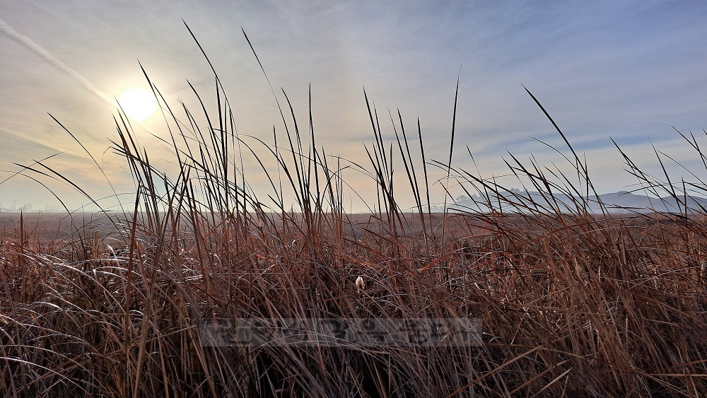 Coyote Hills Regional Park